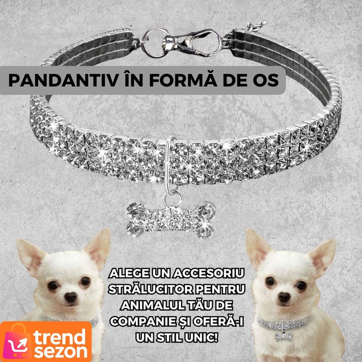 Zgarda Elegantă pentru Câini de Talie Mică cu Cristale Strălucitoare — Stil Rafinament 🐶✨ Imagine secundară a produsului