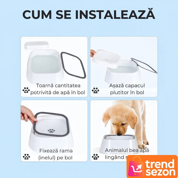 Bol Hidratare Antistropire 1.5 L pentru Câini și Pisici — Design Modern 🐾💧